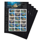 Protect Sea Turtles