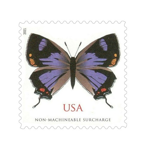 Colorado Hairstreak 2021