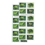 FROGS
