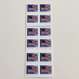 U.S. Flag 2019