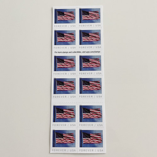 U.S. Flag 2019