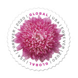 Global 2020 Forever international U.S.