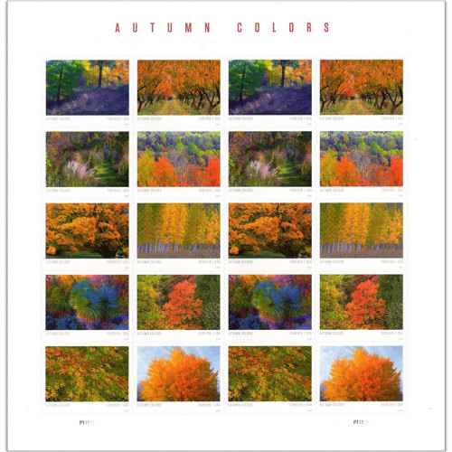 Autumn Colors