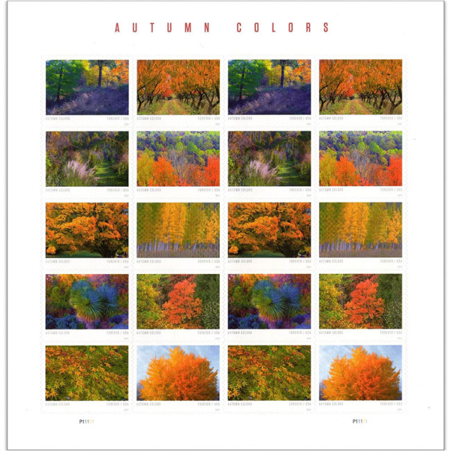 Autumn Colors