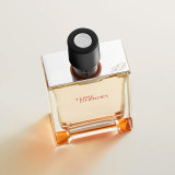 Hermès Terre d'Hermès Eau de Toilette for Men  100 ml / 3.4 oz – Luxury Woody Citrus Designer Cologne with Grapefruit, Cedar & Vetiver – Long Lasting Men's Fragrance