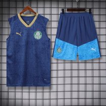 24-25 Palmeiras High quality Tank Top And Shorts Suit