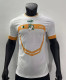 22-23 Cote d'Ivoire 3 stars Away Fans Version Soccer Jersey