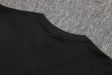 24-25 Bayern High quality Tank Top And Shorts Suit