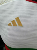 2024 Algeria Special Edition Player Version Soccer Jersey