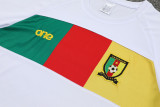 23-24 Cameroon High Quality Training Short Suit