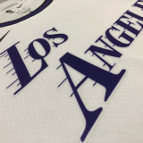 22-23 LAKERS DAVIS #3 White City Edition Top Quality Hot Pressing NBA Jersey