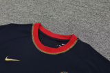 24-25 PSG Royal Blue Training Short Suit (100%Cotton)纯棉