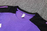 24-25 Germany High Quality Training Short Suit