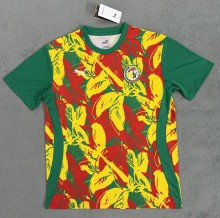 24-25 Senegal  Special Edition Fans Version Soccer Jersey