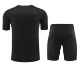24-25 LIV High Quality Training Short Suit