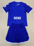 24-25 AJ Auxerre Third Adult Suit