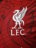 24-25 LIV Red Special Edition Player Version Training shirts