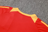 24-25 Bayern High Quality Training Short Suit