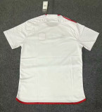 24-25 St. Louis City Away Fans Soccer Jersey