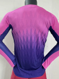 2024 Germany Europe Cup Away Long sleeves Player Version Soccer Jersey