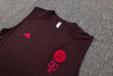 24-25 Bayern High quality Tank Top And Shorts Suit