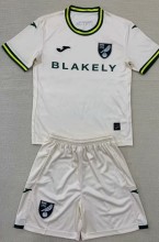 24-25 Norwich City Third Adult Suit