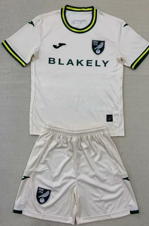 24-25 Norwich City Third Adult Suit