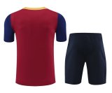 24-25 BAR High Quality Training Short Suit