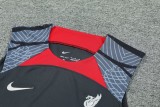 24-25 LIV High Quality Tank Top And Shorts Suit