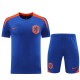 24-25  NetherIands High Quality Training Short Suit
