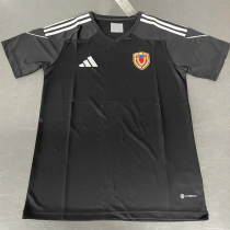 24-25 Venezuela Black Special Edition Fans Soccer Jersey
