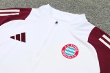 24-25 Bayern High Quality Half Pull Tracksuit