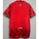25-26 Lille Home Fans Soccer Jersey