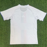 25-26 Lyon Home Fans Soccer Jersey