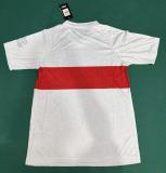 25-26 Stuttgart 100th Anniversary Edition Fans Soccer Jersey 1:1 Thai Quality