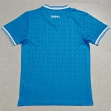 25-26 Napoli UEFA CL Home Fans Soccer Jersey (欧冠版)