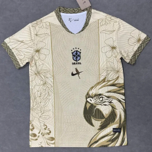 25-26 Brazil Gold Special Edition Training shirts
