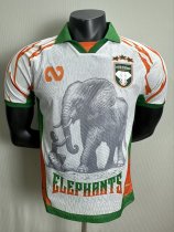 25-26 Cote d'Ivoire White Special Edition Player Version Soccer Jersey