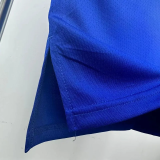 24-25 BUCKS LILLARD #0 Blue City Edition Top Quality Hot Pressing NBA Jersey(V领)