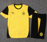 25-26 Dortmund High Quality Training Short Suit