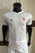2026 Wales Away Player Version Soccer Jersey
