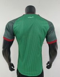 2026 Algeria Away Player Version Soccer Jersey