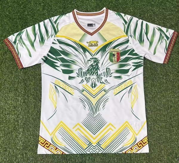 25-26 Mali Third Fans Soccer Jersey