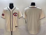 2025 MLB Chicago Cubs New Pattern Jersey