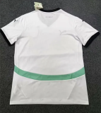 2024 Austria European Cup Away Fans Version Soccer Jersey