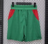 2026 Senegal Away Player Version Shorts Pants (球员短裤)