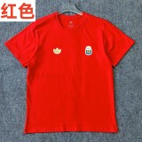 2026 Argentina Pure Cotton T-Shirt