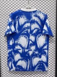 26-27 Cape Verde Special Edition Fans Soccer Jersey