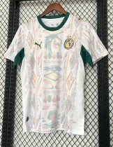 2026 Senegal Home Fans Soccer Jersey (With 2 Star)*两颗星 2026 Senegal Home Fans Soccer Jersey (With 2 Star)*两颗星