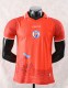 2026 Haiti Third Player Version Soccer Jersey